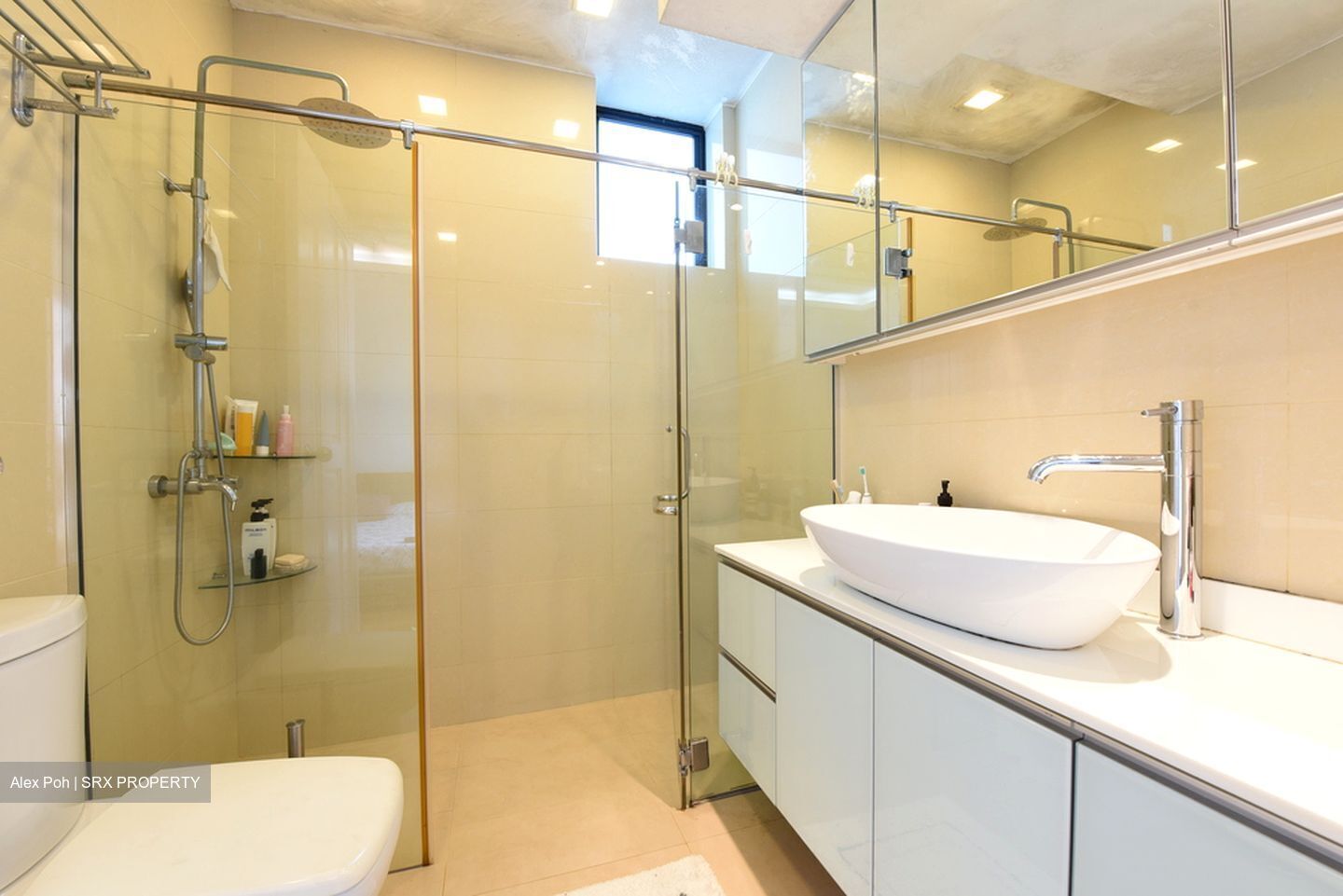 Spring Grove (D10), Condominium #472750601